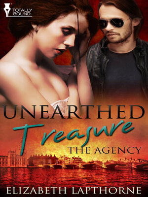 Unearthed Treasure - ebook